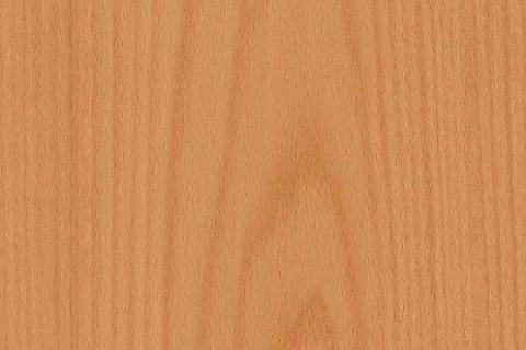 Gỗ veneer Beech vân núi