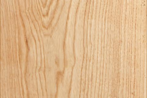 gỗ veneer ASH tần bì vân bông